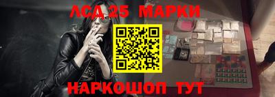 a pvp Новодвинск