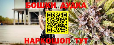 прущие крисы Новозыбков
