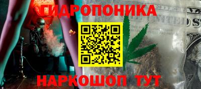 прущие крисы Новозыбков