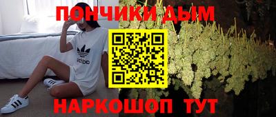 a pvp Новодвинск