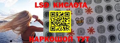 a pvp Новодвинск