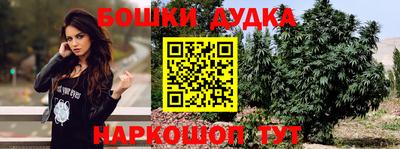 прущие крисы Новозыбков