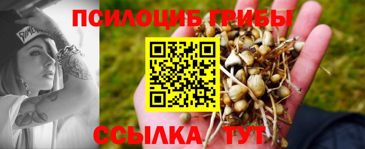 Купить наркотик  NBOMe  КОКАИН  Вейп ТГК  Мефедрон кристаллы  Вход с VPN  ГАШИШ  Каннабис  Топки  ЭКСТАЗИ 